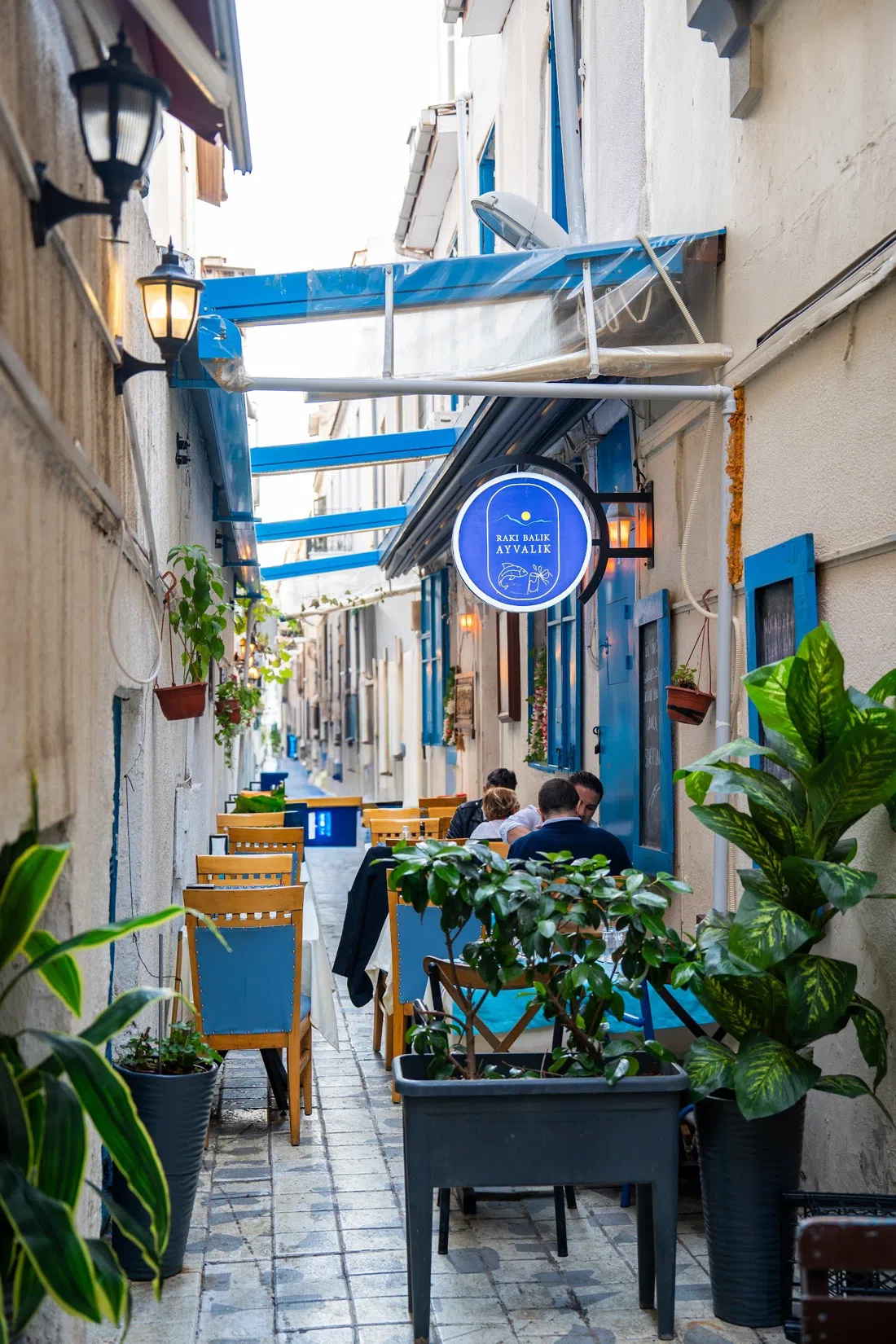 Rakı Balık Ayvalık, Izmir